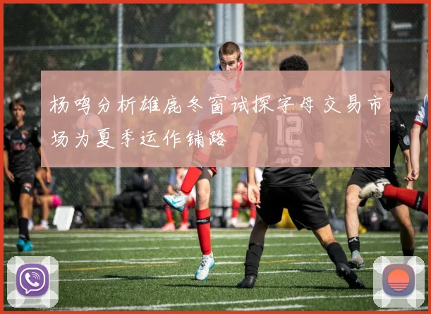 杨鸣分析雄鹿冬窗试探字母交易市场为夏季运作铺路