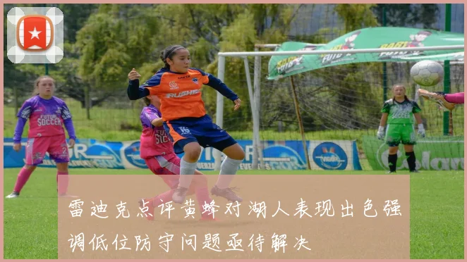 雷迪克点评黄蜂对湖人表现出色强调低位防守问题亟待解决